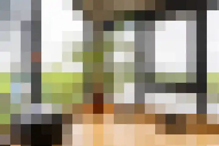 Thaborwei 8 Tirns thumbnail 21