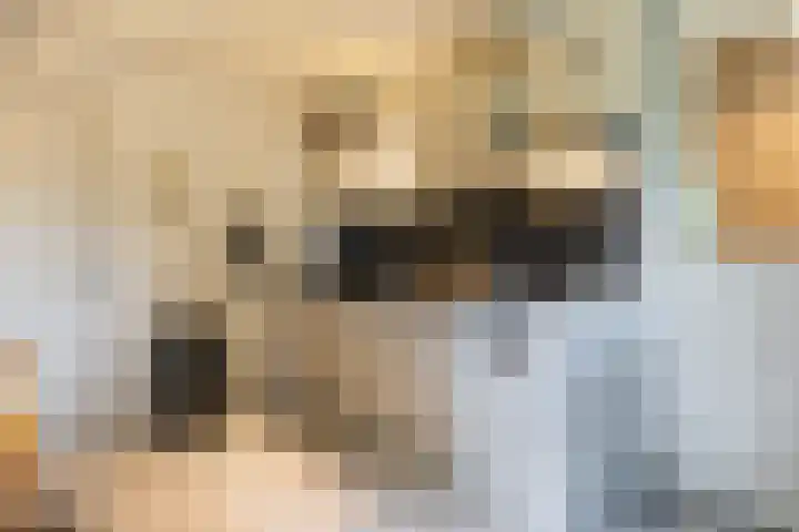 Thaborwei 8 Tirns thumbnail 46