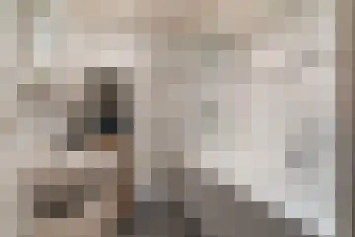 Thaborwei 8 Tirns thumbnail 50