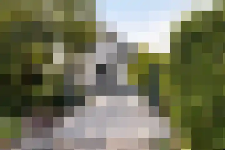 Thaborwei 8 Tirns thumbnail 51