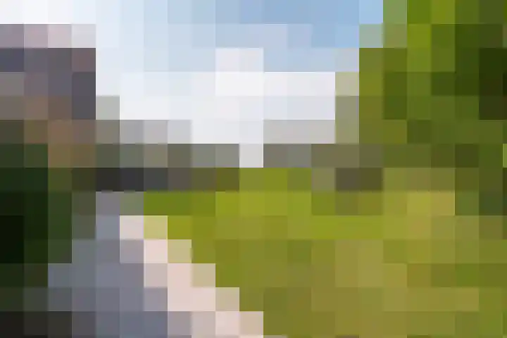 Thaborwei 8 Tirns thumbnail 54