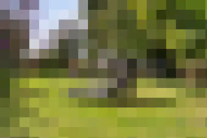 Thaborwei 8 Tirns thumbnail 55