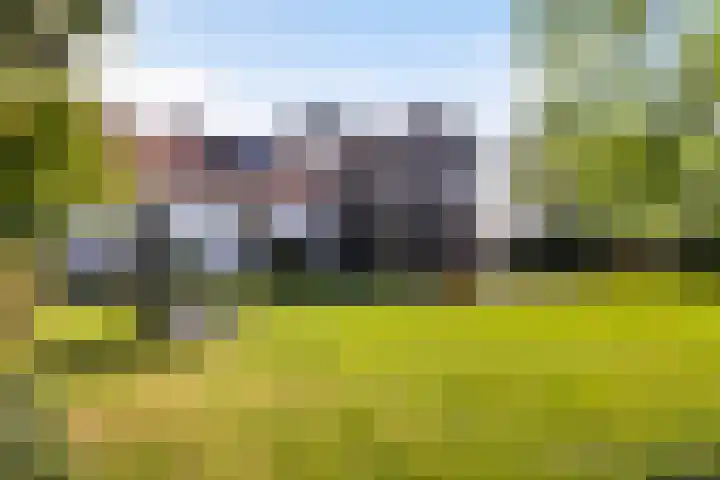 Thaborwei 8 Tirns thumbnail 56