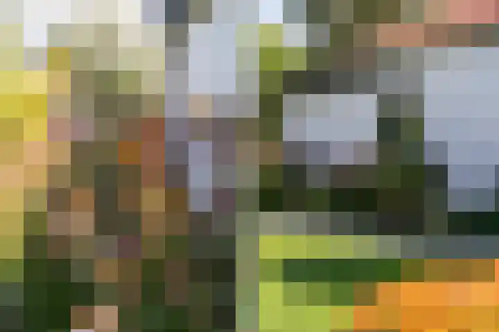 Thaborwei 8 Tirns thumbnail 58