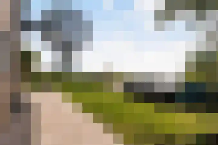 Thaborwei 8 Tirns thumbnail 59