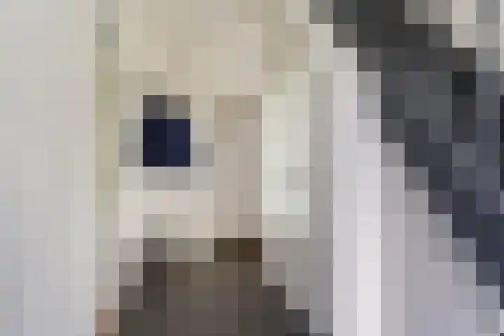 Thaborwei 8 Tirns thumbnail 6