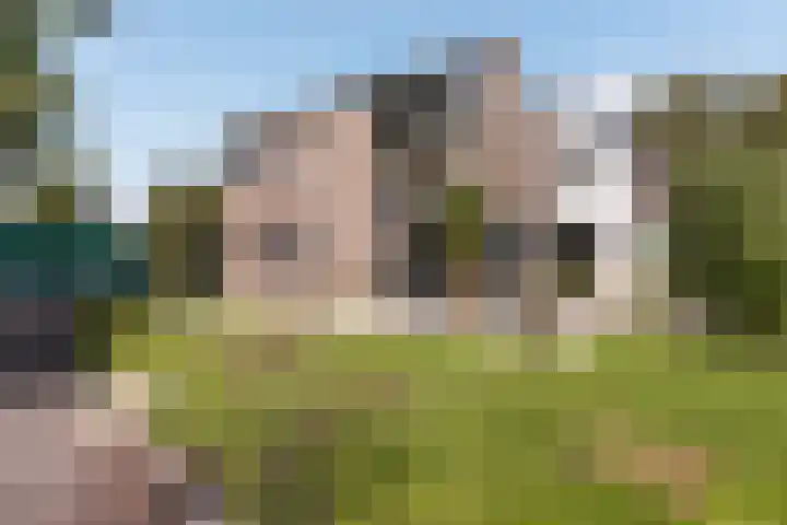 Thaborwei 8 Tirns thumbnail 60