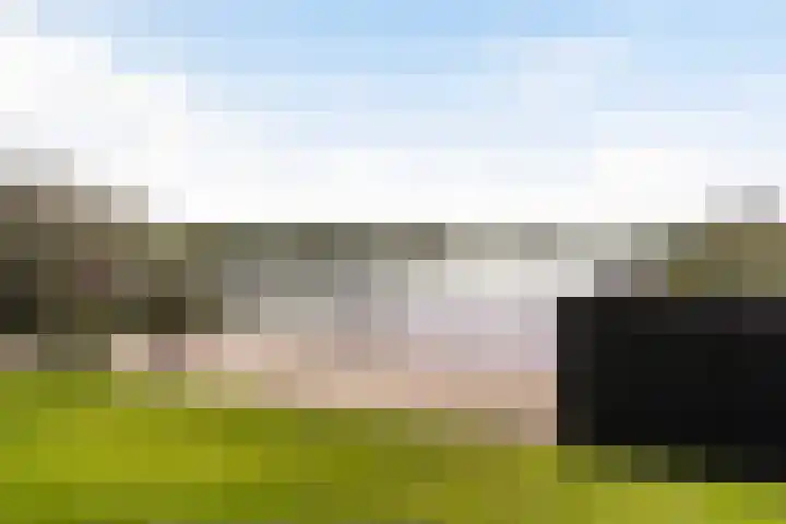Thaborwei 8 Tirns thumbnail 61