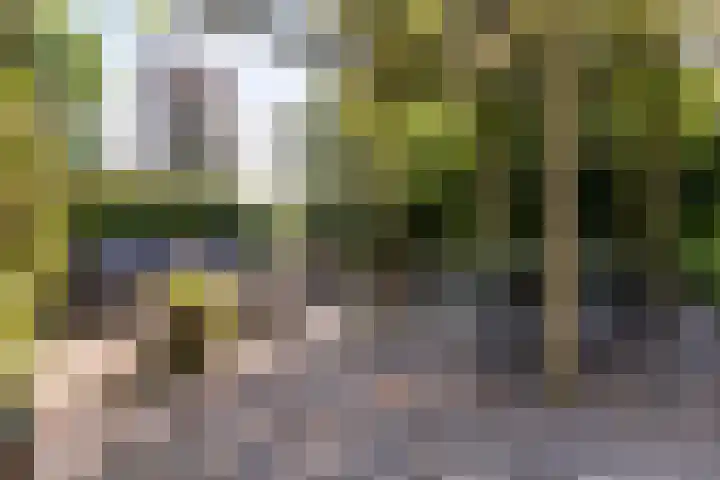 Thaborwei 8 Tirns thumbnail 63