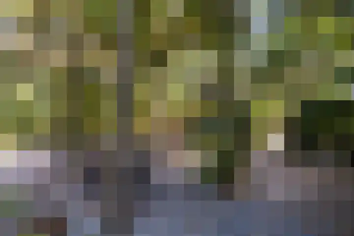 Thaborwei 8 Tirns thumbnail 64