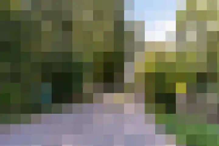 Thaborwei 8 Tirns thumbnail 67