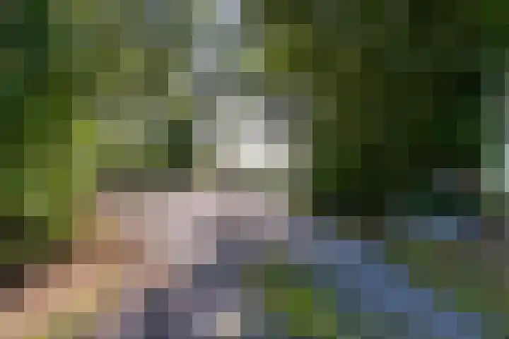 Thaborwei 8 Tirns thumbnail 68