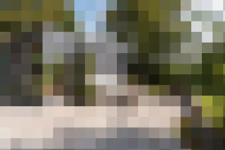 Thaborwei 8 Tirns thumbnail 69