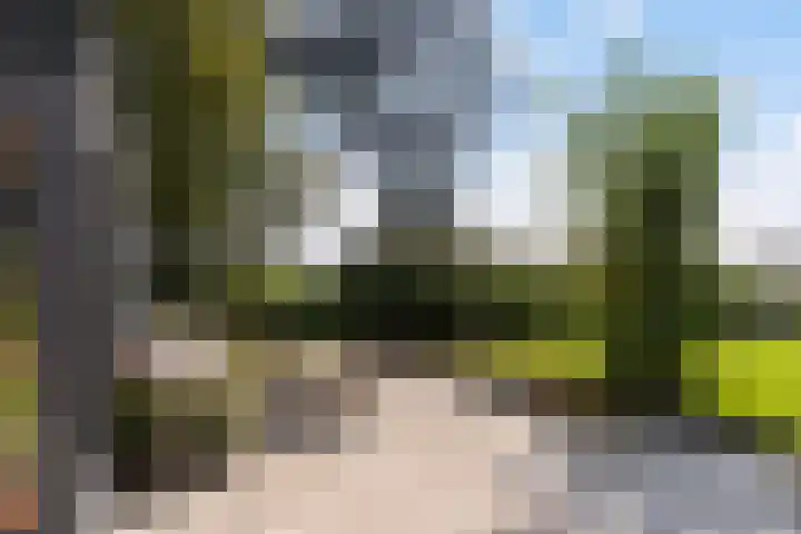 Thaborwei 8 Tirns thumbnail 70