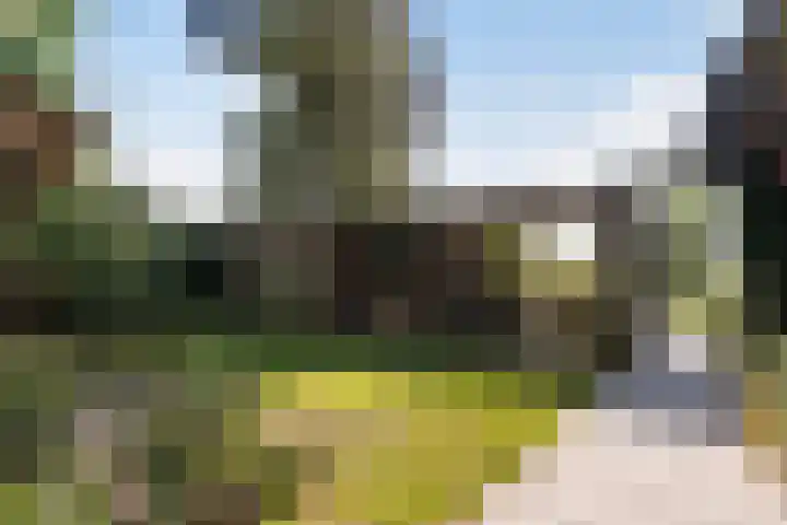 Thaborwei 8 Tirns thumbnail 71