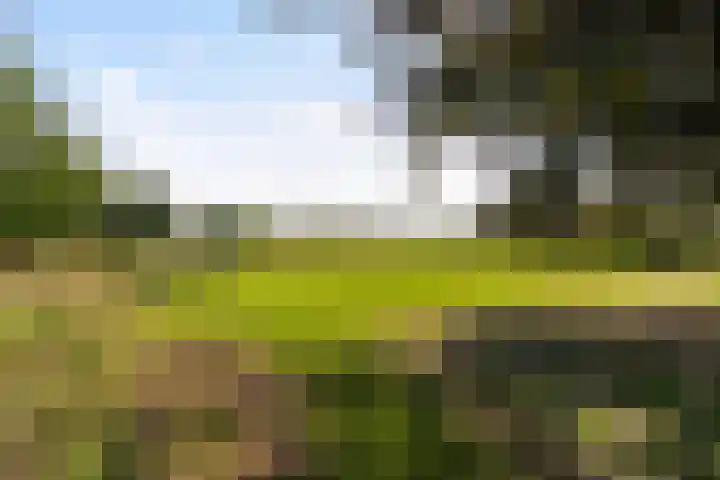 Thaborwei 8 Tirns thumbnail 72