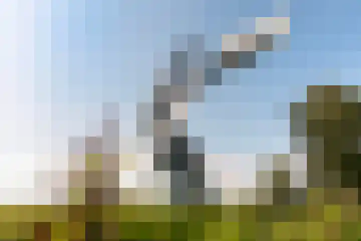 Thaborwei 8 Tirns thumbnail 73