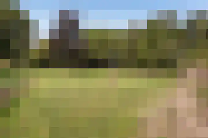 Thaborwei 8 Tirns thumbnail 74