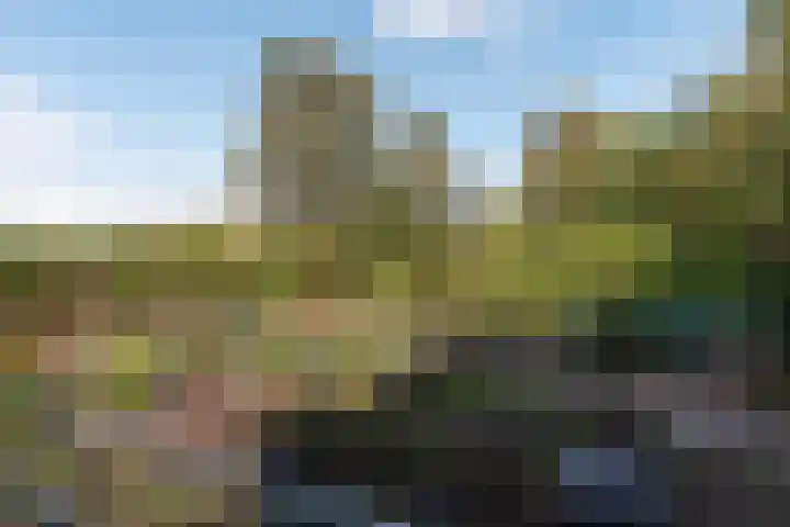 Thaborwei 8 Tirns thumbnail 76