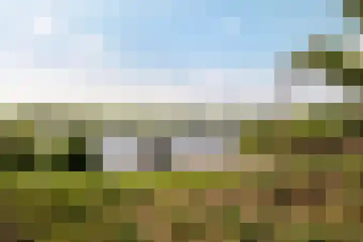 Thaborwei 8 Tirns thumbnail 79