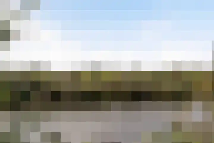 Thaborwei 8 Tirns thumbnail 81