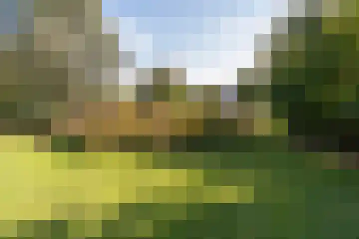 Thaborwei 8 Tirns thumbnail 82