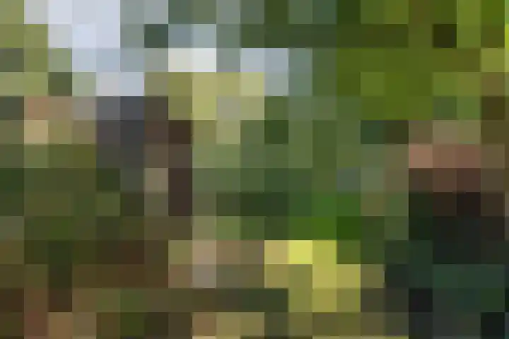 Thaborwei 8 Tirns thumbnail 83