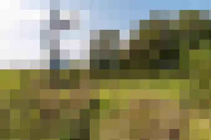 Thaborwei 8 Tirns thumbnail 86