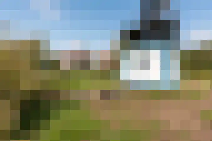 Thaborwei 8 Tirns thumbnail 87