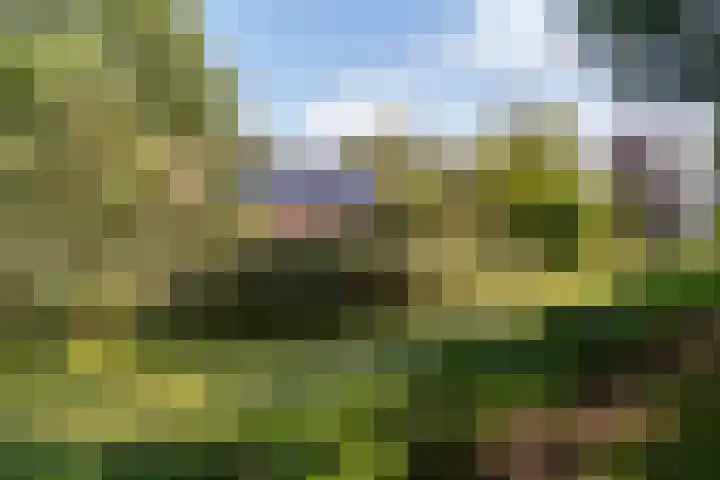 Thaborwei 8 Tirns thumbnail 88