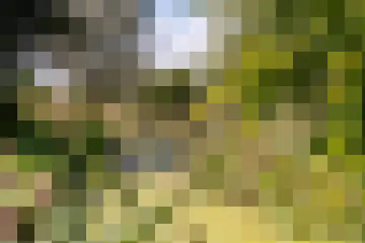Thaborwei 8 Tirns thumbnail 89