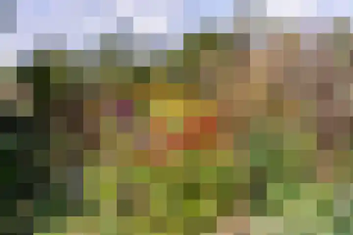 Thaborwei 8 Tirns thumbnail 90