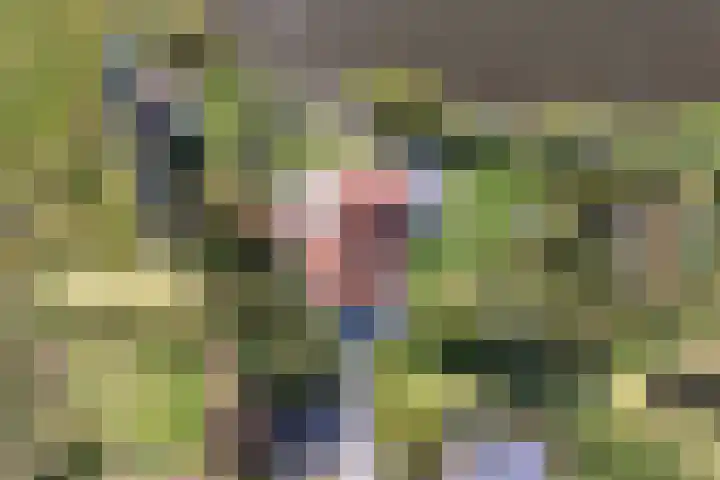 Thaborwei 8 Tirns thumbnail 95