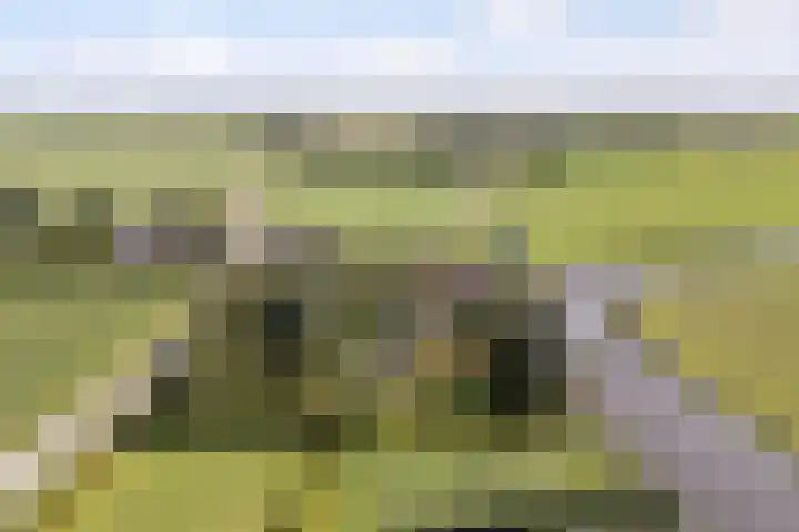 Thaborwei 8 Tirns thumbnail 96