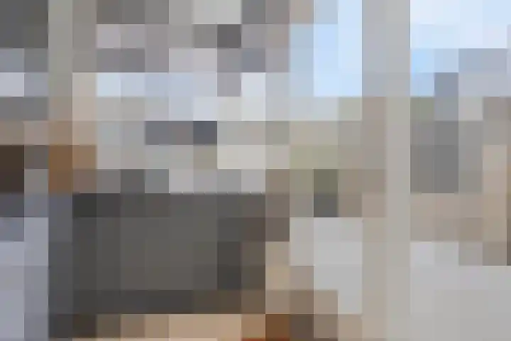 Thailandring 14 Drunen thumbnail 12