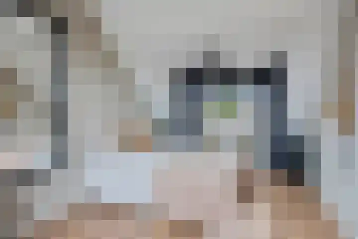 Thailandring 14 Drunen thumbnail 23