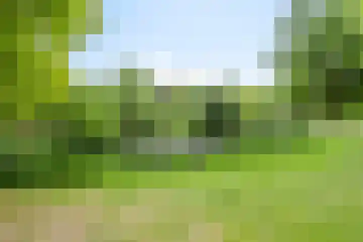 Thailandring 14 Drunen thumbnail 35