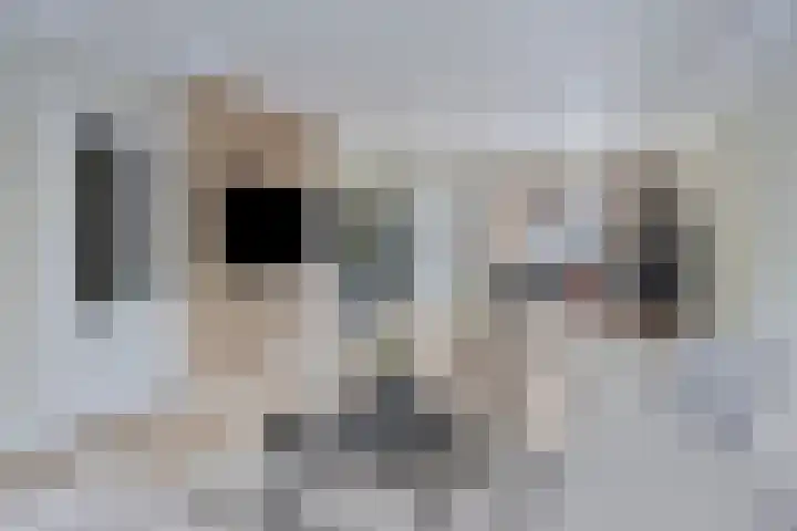 Thailandring 14 Drunen thumbnail 5