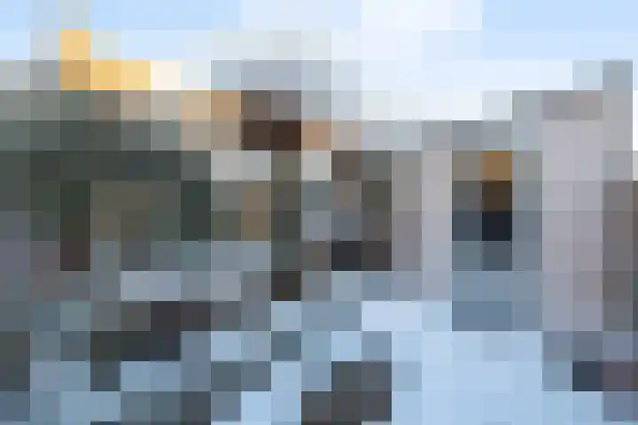 Thailandsingel 32 Alphen aan den Rijn thumbnail 25