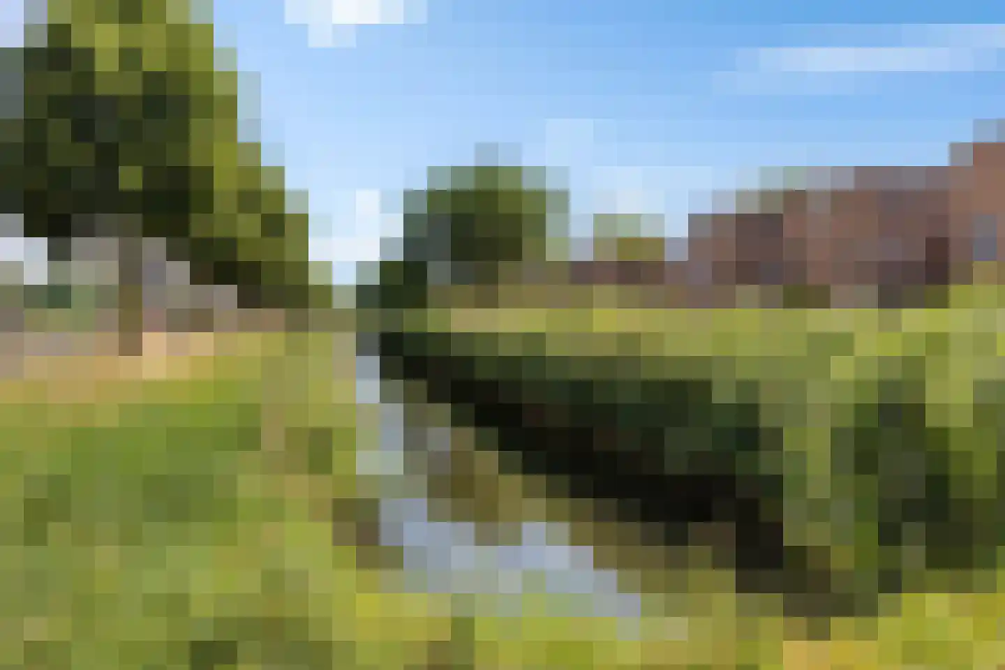 Thailandsingel 6 Alphen aan den Rijn thumbnail 4
