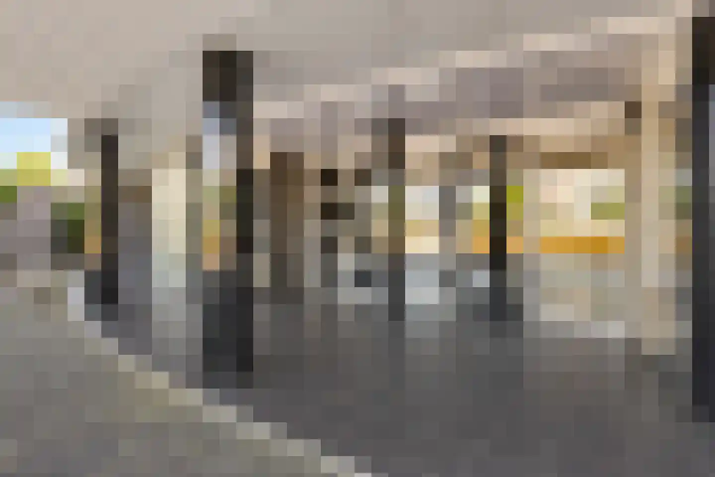 Thailandsingel 6 Alphen aan den Rijn thumbnail 8