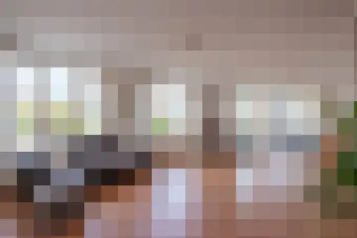 Thailandsingel 8 Alphen aan den Rijn thumbnail 10