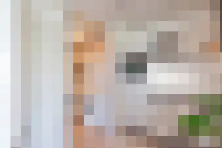 Thailandsingel 8 Alphen aan den Rijn thumbnail 17