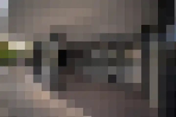 Thailandsingel 8 Alphen aan den Rijn thumbnail 4