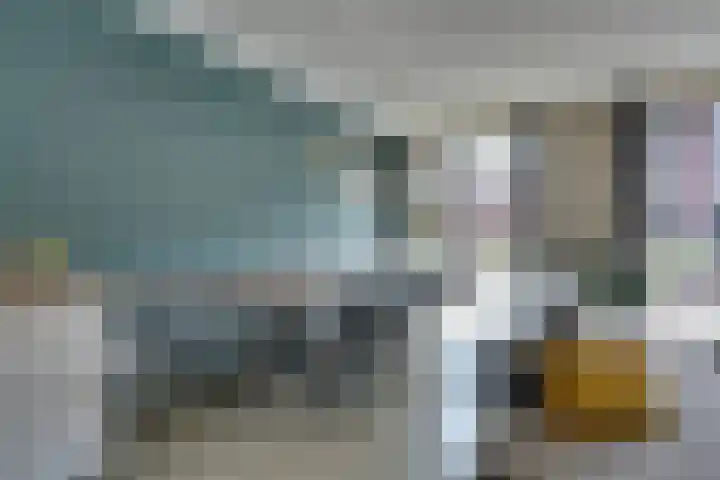 Thalassa 17 Wormerveer thumbnail 14