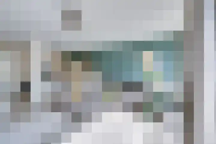 Thalassa 17 Wormerveer thumbnail 18