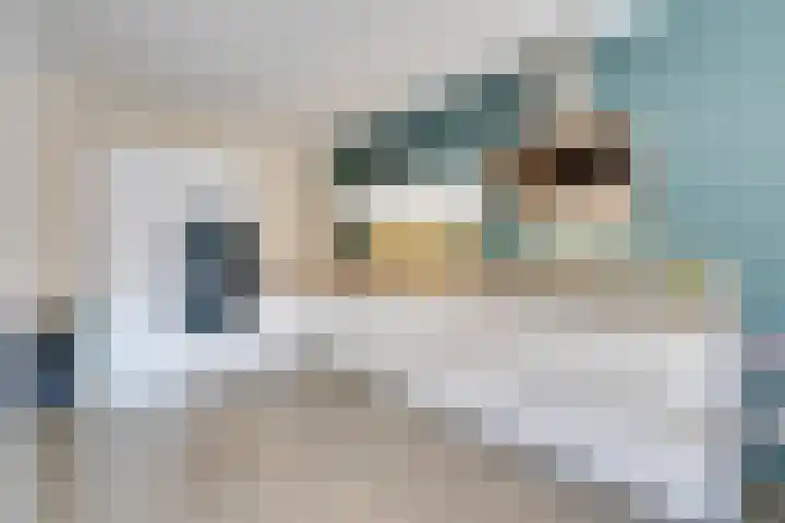 Thalassa 17 Wormerveer thumbnail 19