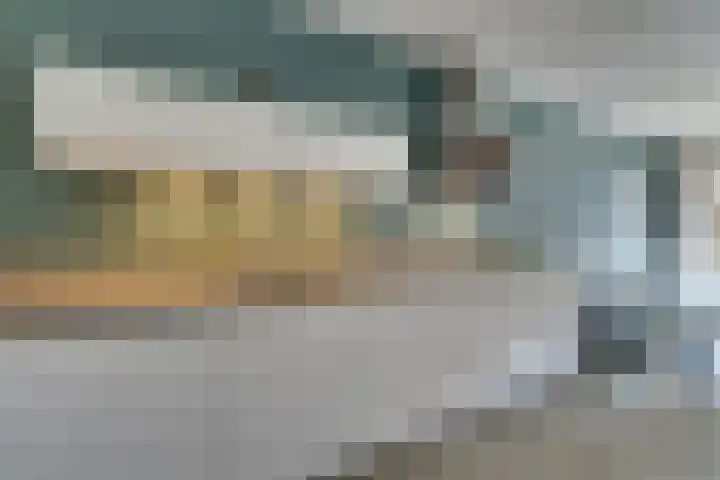 Thalassa 17 Wormerveer thumbnail 22