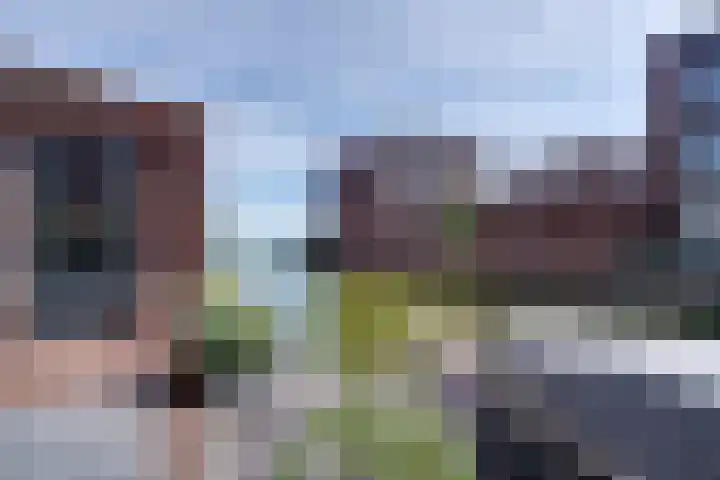 Thalassa 17 Wormerveer thumbnail 30