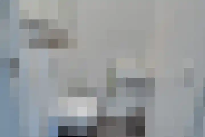 Thalassa 17 Wormerveer thumbnail 37